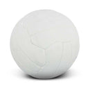 Volleyball Pro