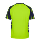 Hi Vis Spider Tshirt