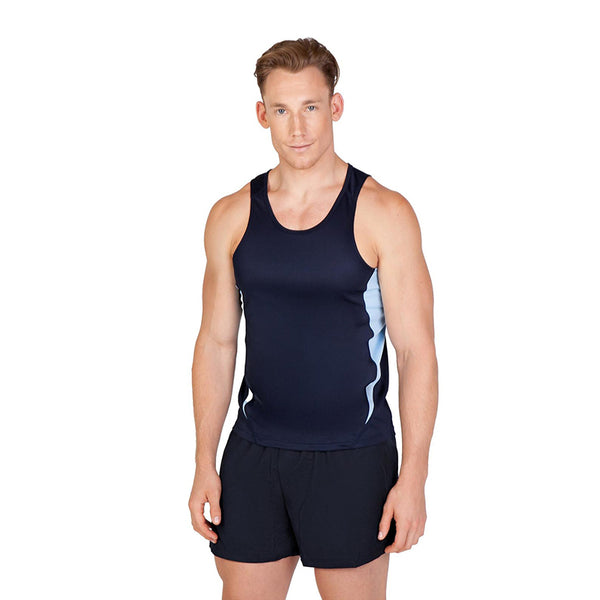 Accelerator Singlet