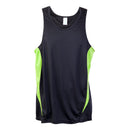 Accelerator Singlet